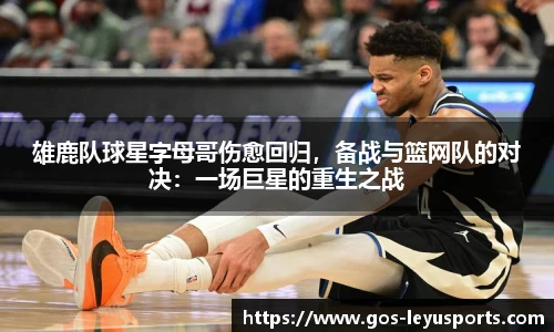 雄鹿队球星字母哥伤愈回归,备战与篮网队的对决:一场巨星的重生之战