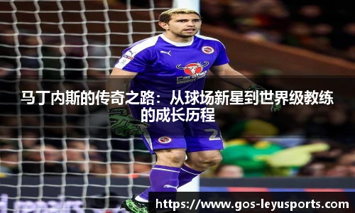 马丁内斯的传奇之路:从球场新星到世界级教练的成长历程